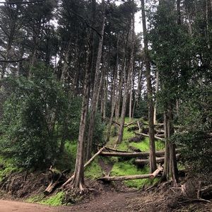 Meet your Posher, Hanna